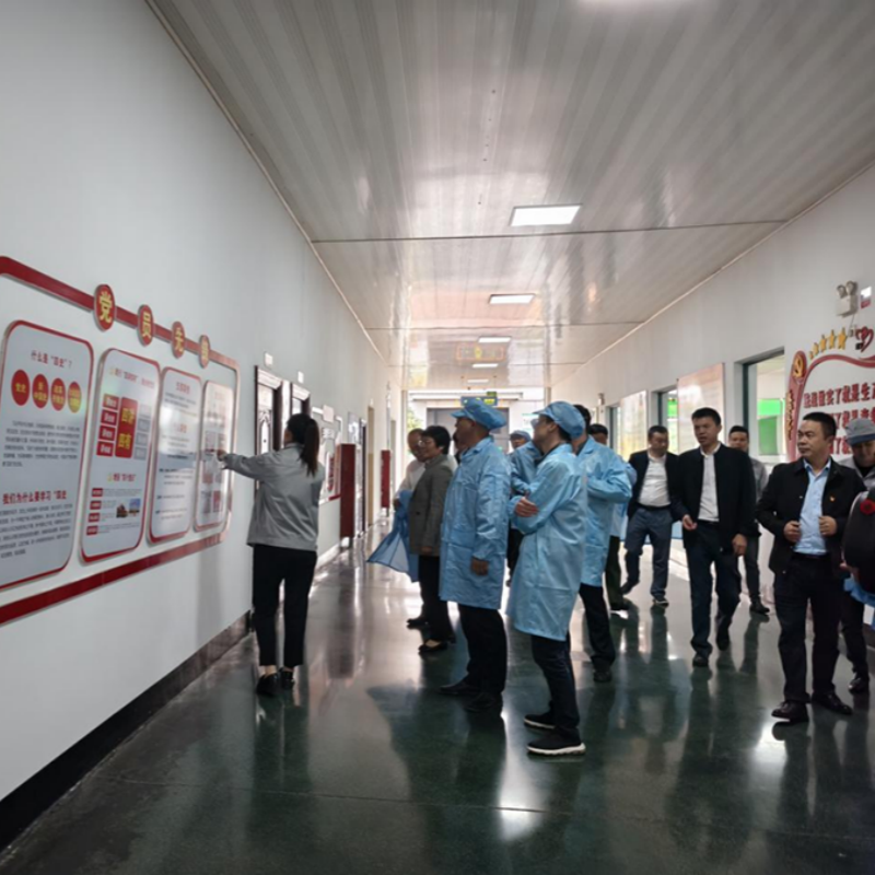 The leaders of the Social Work Department of Jiangxi Provincial Party Committee visited Aupu Company for research